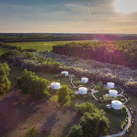 Homoki Lodge Bed & Beyond Glamping (Adults Only) Ruzsa Exteriör bild