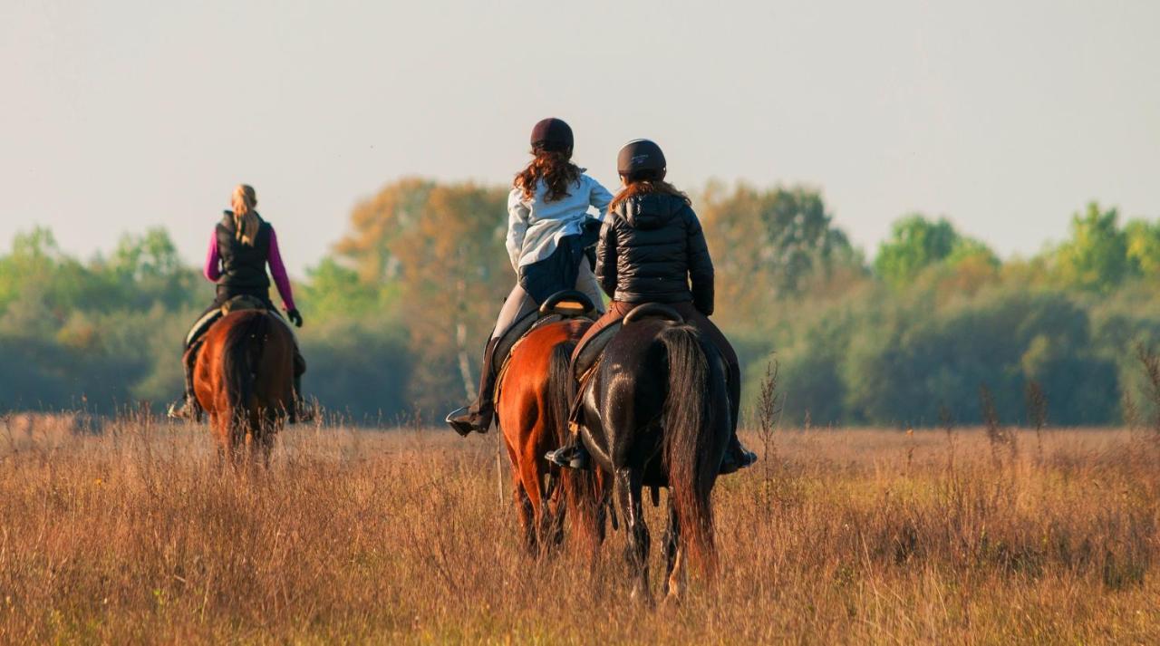 Homoki Lodge Bed & Beyond Glamping (Adults Only) Ruzsa Exteriör bild